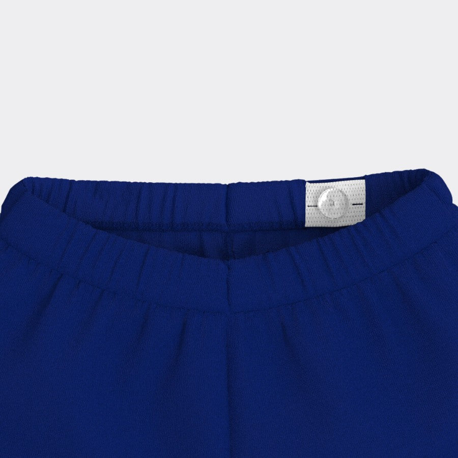 2 Pcs Leggings | Pink, Royal Blue